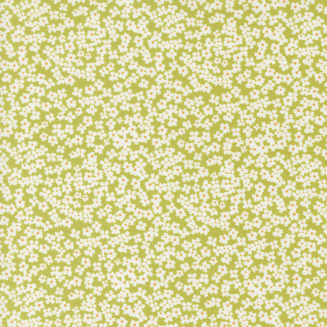 Shine by Sweetwater Fabric